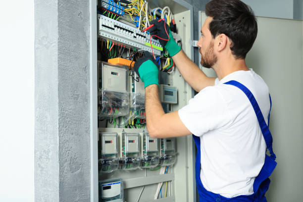 Best Local Electrician Companies  in Deltana, AK