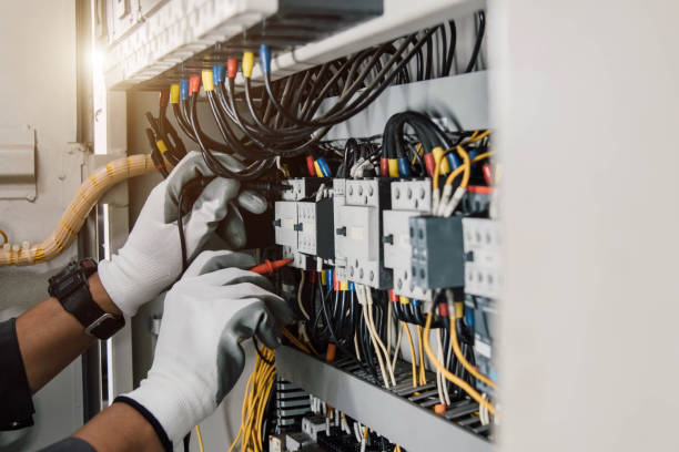 Best Electrical Upgrades for Homes  in Deltana, AK